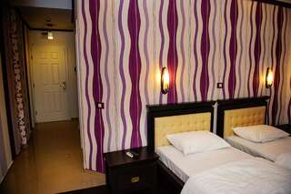 Апарт-отели Vila HD Хунедоара Апартаменты-студио с 2 отдельными кроватями-1